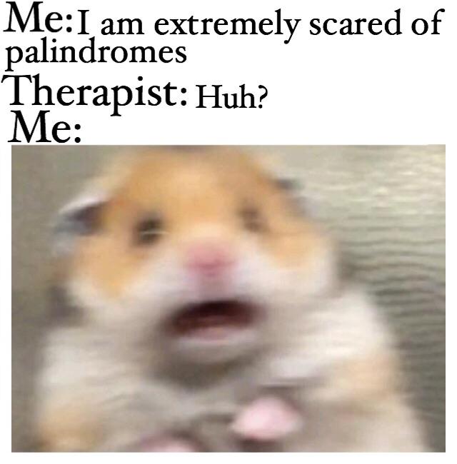 Me: I am scared of Palindromes My Therapist: Huh? Me: Scared hamster meme
